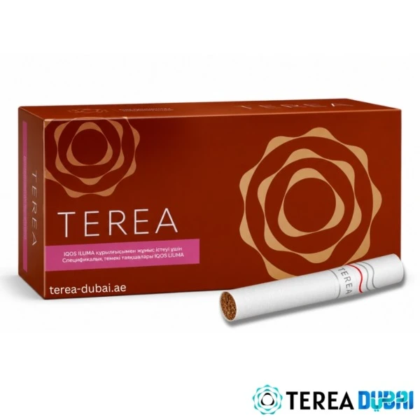 TEREA Bronze Kazakhstan pack of 20 sticks, tobacco with cocoa and dry fruit, in Dubai