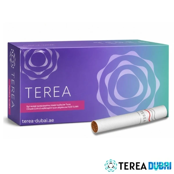 TEREA Purple Kazakhstan pack of 20 sticks, menthol cooling with dark forest fruit, in Dubai