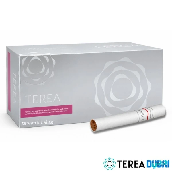 TEREA Silver Kazakhstan pack of 20 sticks, toasted tobacco with light spicy herbs, in Dubai