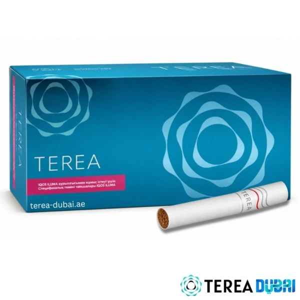 TEREA Turquoise Kazakhstan pack of 20 sticks, menthol cooling with a zesty lift, in Dubai