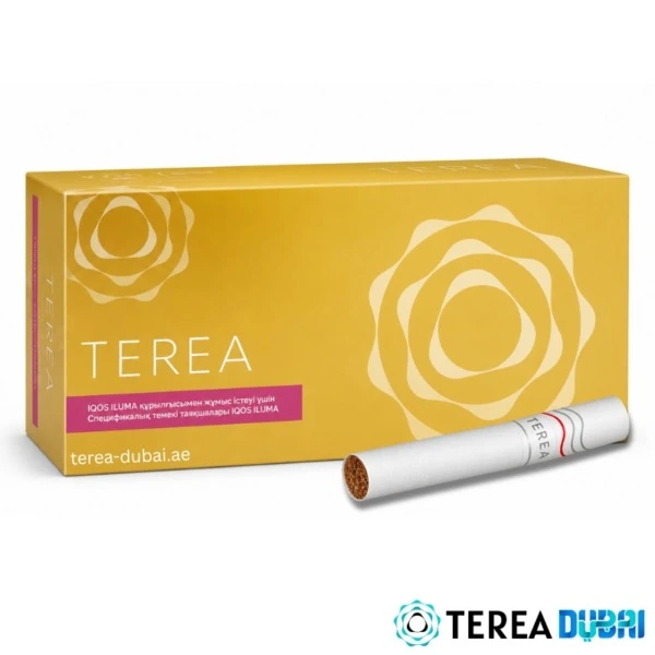 TEREA Yellow Kazakhstan pack of 20 sticks, mellow tobacco with zesty aroma, in Dubai