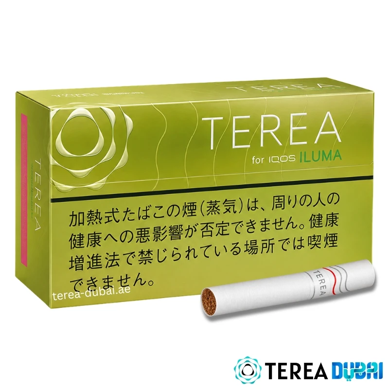 TEREA Bright Menthol Japan pack of 20 sticks, refreshing menthol with a crisp pear aroma, in Dubai