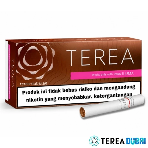 TEREA Bronze Indonesia pack of 20 sticks, mellow and aromatic tobacco with cocoa and dry fruit aroma notes, in Dubai