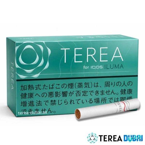 TEREA Mint Japan pack of 20 sticks, balanced mint cooling with tobacco taste, in Dubai