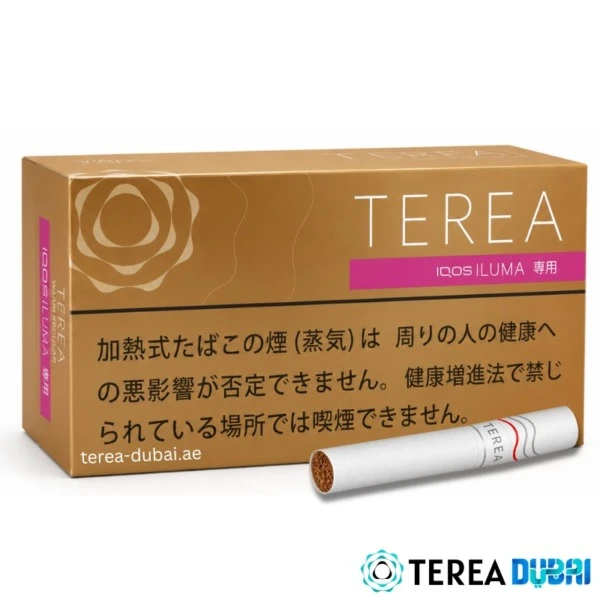 TEREA Warm Regular Japan pack of 20 sticks, mellow tobacco with a roasted nutty aroma, in Dubai